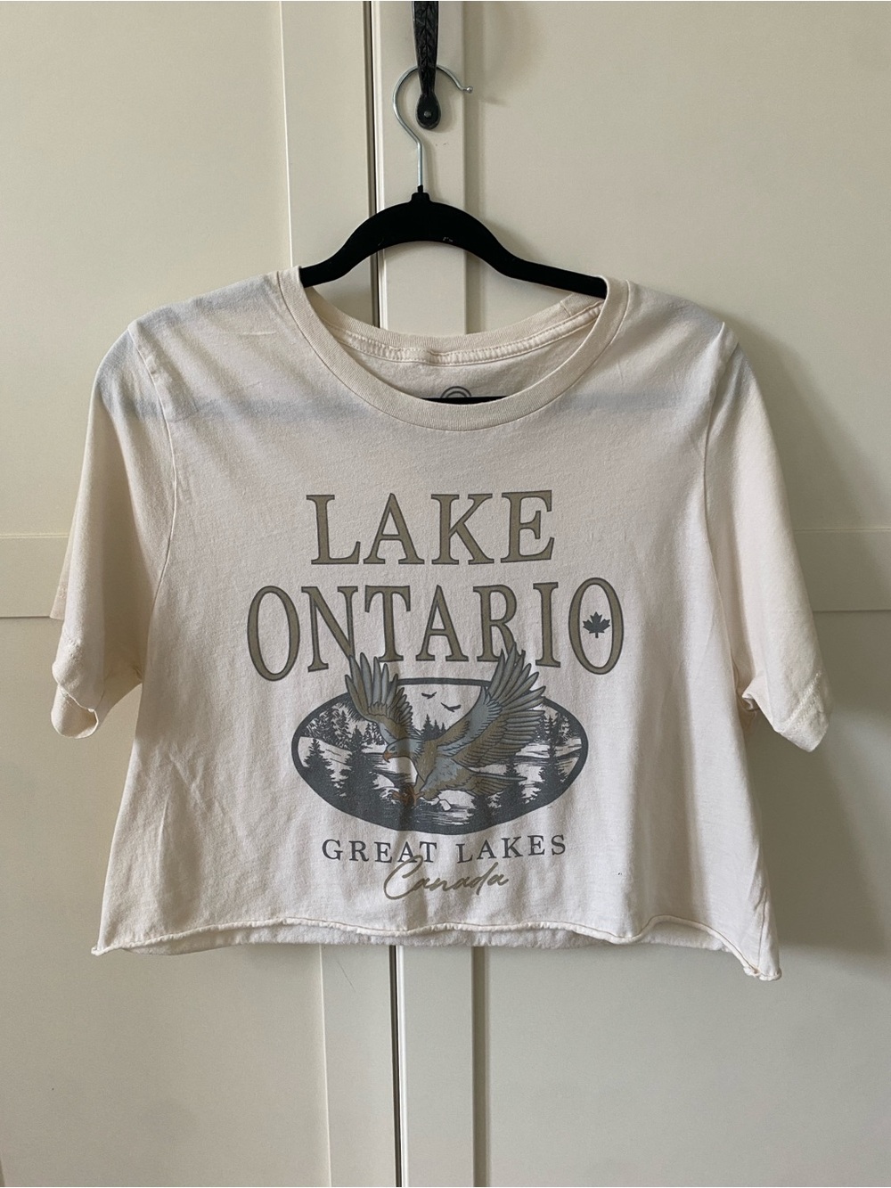 Social Culture Lake Ontario Graphic Crop Top Cream | Cottagecore, Coastal, Y2K L